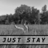 Just Stay - Raddeus&Paycheck