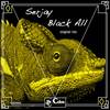 Black All (Original Mix) - SerJay
