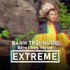 Bánh Trôi Nước (Extreme Version) - Hoàng Thùy Linh&Matrix