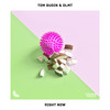 Right Now - Tom Budin&DLMT