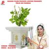 Tulsi Ka Paudha (Karaoke Version) - Prabha