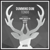 Tengo (Original Mix) - Dumming Dum&Urzula Amen
