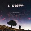 A NOITE (Ambient Extended) - Zen Baboon