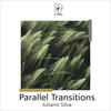 Parallel Transitions - Juliano Silva