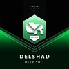 Deep Shit (Original Mix) - Delshad