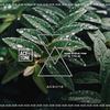 It's True (Original Mix) - Rama99&Steve Tosi&Unknown Singer