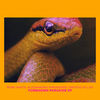 Don't Be Afraid (Original Mix) - Rone White&Alessandro diruggiero&Groove Killah