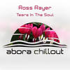 Tears In The Soul (Downtempo Mix) - Ross Rayer