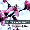 Flute from Tibet for Peace of Mind - Enyo