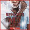 Ego(Radio Edit) - Willy William