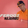 Najaribu - Ferooz