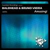 Amazing! (Original Mix) - Baldhead&Bruno Vieira