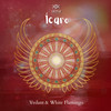 Icaro (Original Mix) - Vedant&white flamingo