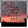 She Owns The Night Sky (feat. Avi Snow) - Cory Young&NicoTheOwl&Avi Snow
