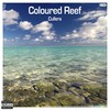 Coloured Reef (Christian Drost Remix) - Cullera