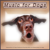 Music for Man's Best Friend - Calming Music for Dogs&Ambient Music&Dog Music Collective