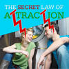 Understanding the Law of Attraction - The Secret Society