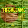 Dub Morning (Cellos Balearica Remix) - Drum & Breakers