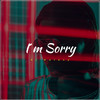 I'm Sorry - DJ Galaxy
