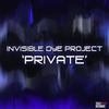 Private (Original Mix) - Invisible Dye Project