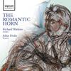 II. Poco adagio, quasi andante - Richard Watkins&Julius Drake