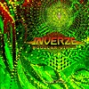 Modular Virus - Inverze