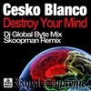 Destroy Your Mind (Skoopman Remix) - Cesko Blanco