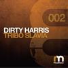 Tribo Slavia (Original Mix) - Dirty Harris