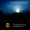It's A Cold Night (Original Mix) - Experimental Feelings
