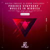 Whales in Mirrisa (Luciano Scheffer Remix) - Pedro Capelossi&NOIYSE PROJECT