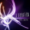 La Vibration (Vibe Instrumental) - Palmez&Nicky B