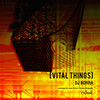 Vital Things (Bruno Andrada Remix) - DJ Borra&Bruno Andrada