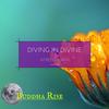 Diving In Divine (Original Mix) - AFREEN Khan
