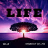 Life (Explicit) - Willz&Sincerely Collins