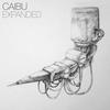 Test Tubes(Caibu Adjustment) (Remix) - SCB