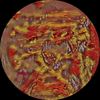 Razz (Original Mix) - Gianluca Pellerano