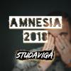 Amnesia 2018 - Studavigå
