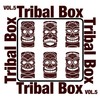 Vdj (Tribal Mix) - Vladimir Zair