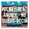 No Quiere Decir(feat. Anubix) - Wildey&Anubix