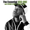 R.E.A.L.I.T.Y. - KRS-One