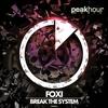 Break The System (Original Mix) - Foxi