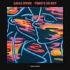 Prime's Delight - Sasha Divide