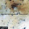 Invasion (Original Mix) - Gabriel Slick&RoboCrafting Material