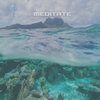 Meditate - Matta