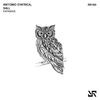 Expansive (Original Mix) - Antonio d'Africa&SALL