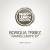 Raving Lunatic (Original Mix) - Boriqua Tribez