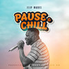 Pause and Chill - Flip Model