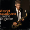 I'm Gonna Move To The Outskirts Of Town - David Sanborn&Eric Clapton