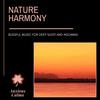 The Healing Ray (Original Mix) - Divine KaHiL