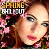 Pretend Your Mind Tonight (Violin Lounge Mix) - Soleil Loungers